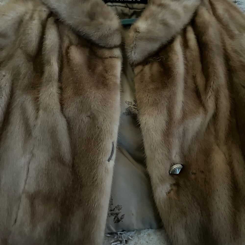 Evans furs from Crowleys it’s an autumn haze.